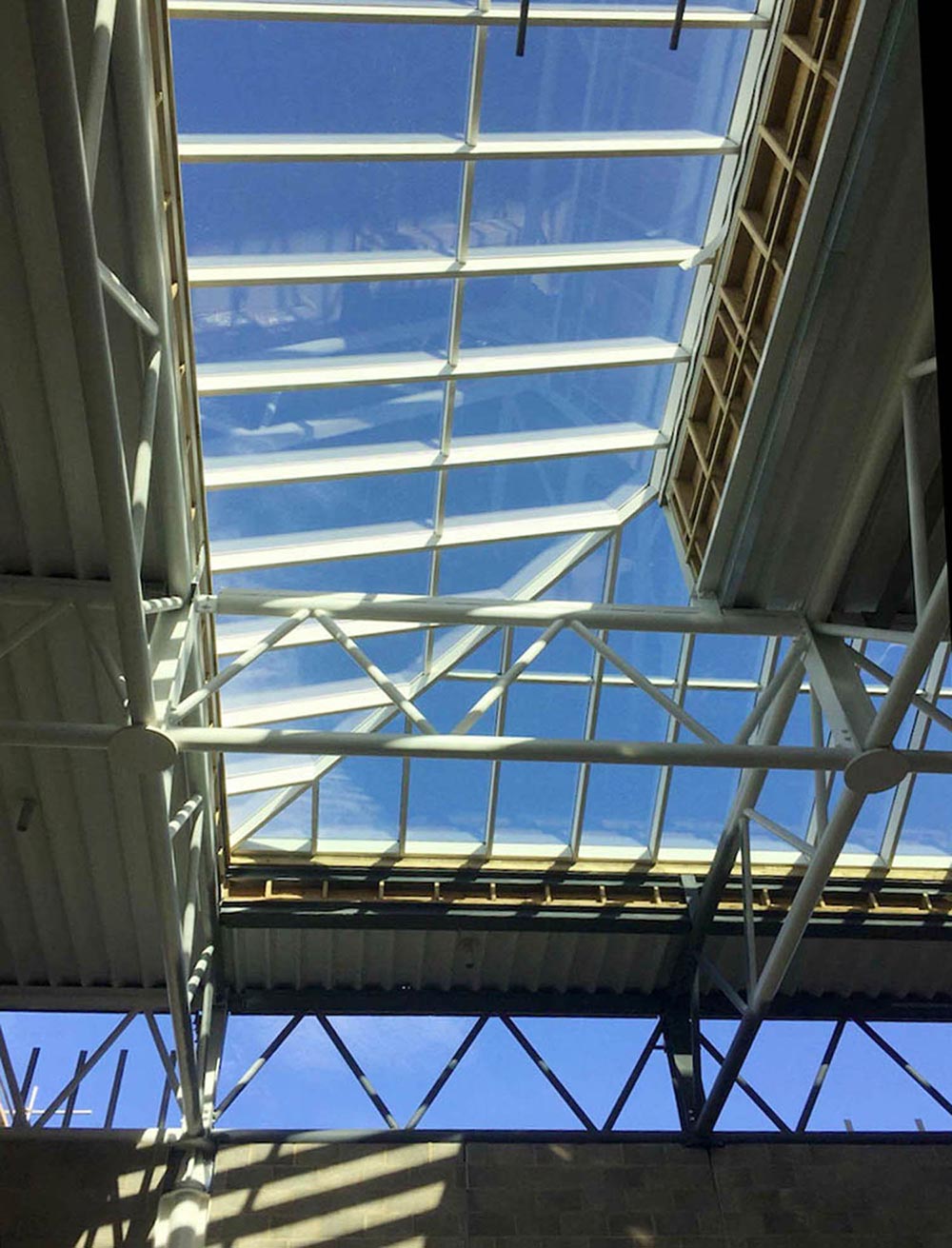 Premier League Football Club Rooflights